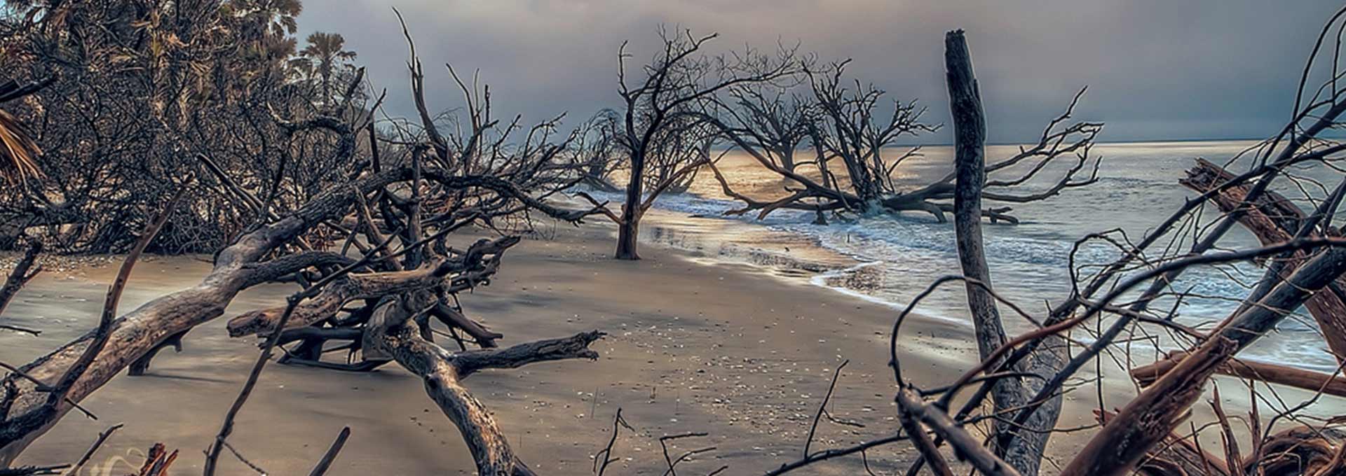 Waverunner rentals jetski island tours